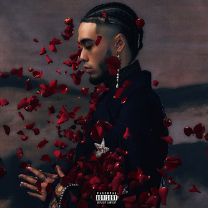 微勃破解版官方网入口
