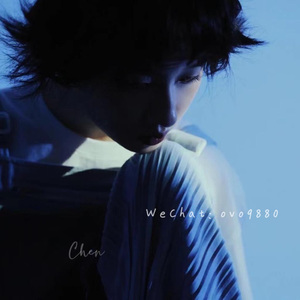 微勃破解版官方网入口
